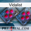 Vidalist 14